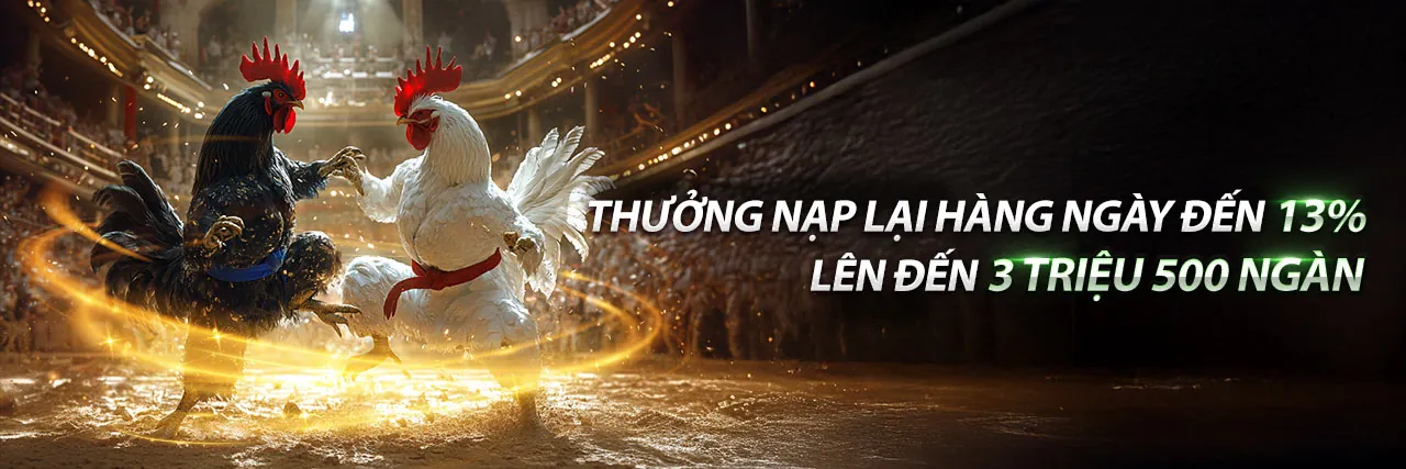 Đá gà trực tuyến MCW888 với những trận đấu kịch tính và cơ hội thắng lớn